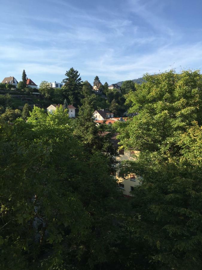 Appartement Baden Apartment *